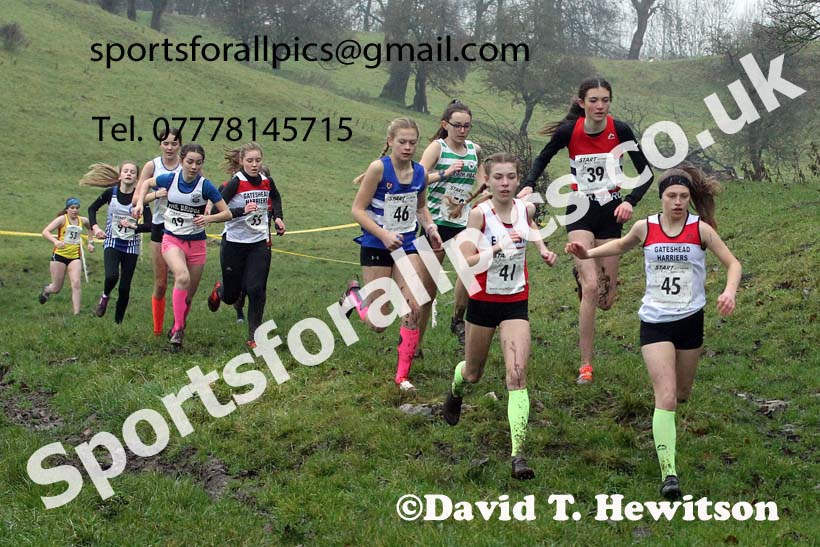 Girls under-15s, NECAA Junior Cross Country Relays, Thornley Farm, Peterlee, Saturday, December 12th. Photo: David T. Hewitson/Sports for All Pics